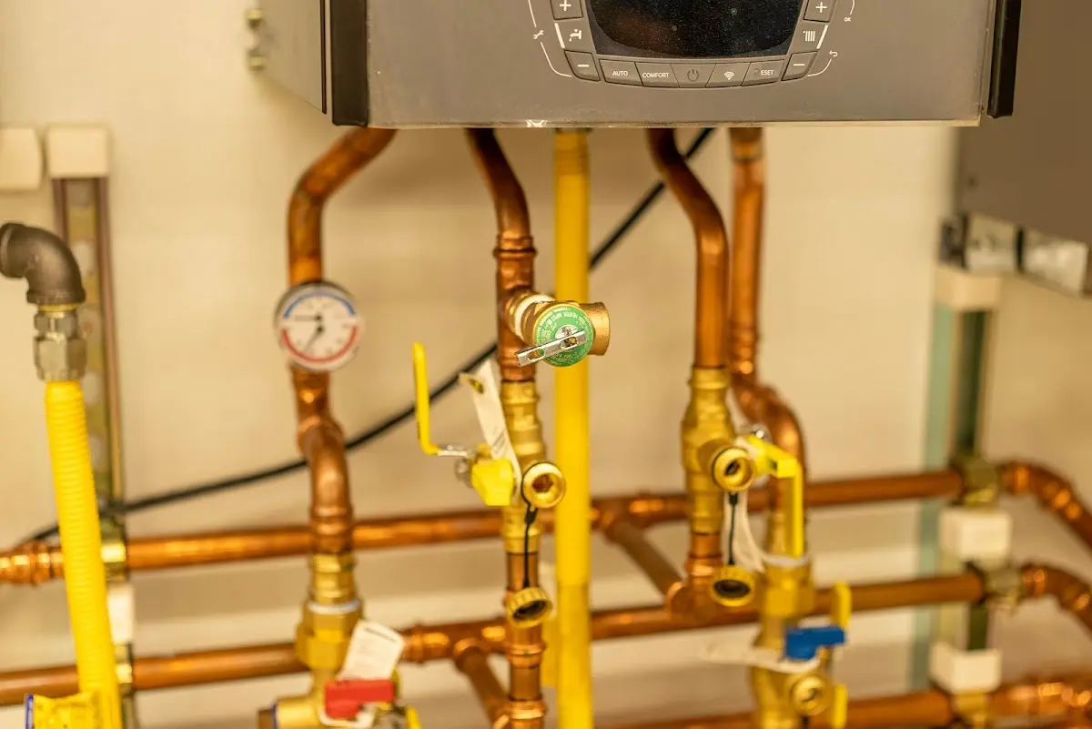 Licensed technician providing Emergency Plumbing for a homeowner in Bargersville